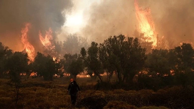 Μεγάλη πυρκαγιά ξέσπασε στην Ξάνθη-Βίντεο